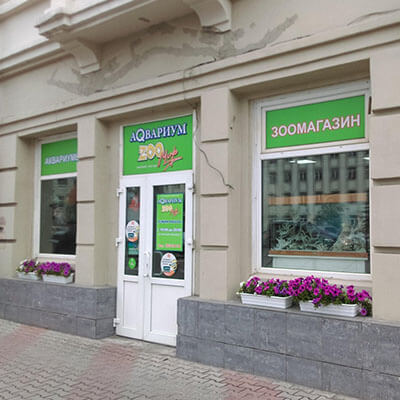 аквариум зоомир