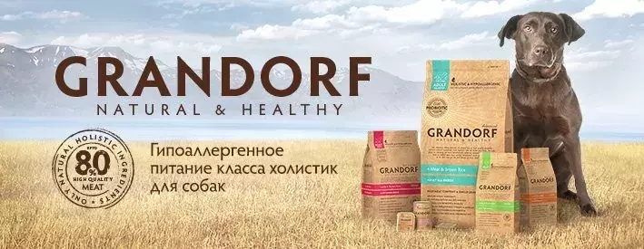 Grandorf