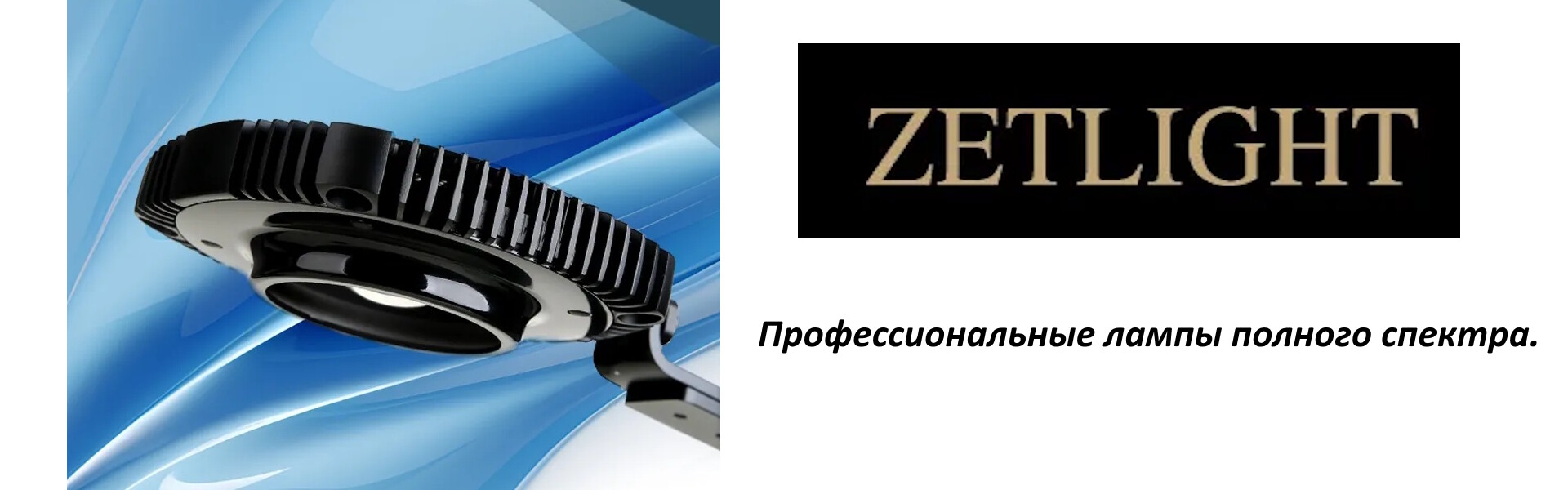 zet